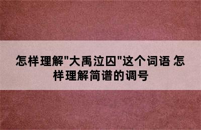 怎样理解"大禹泣囚"这个词语 怎样理解简谱的调号